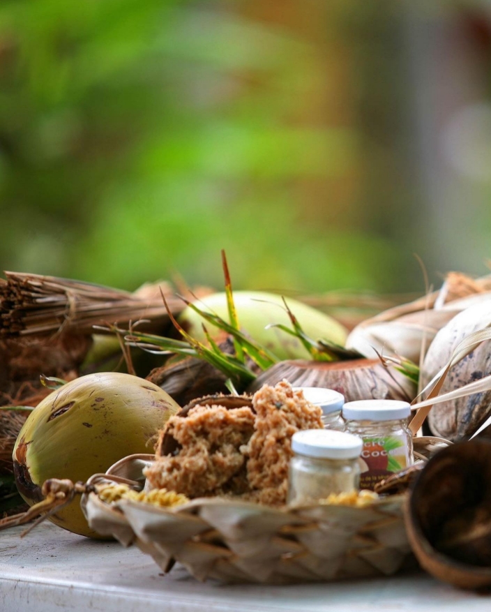 La noix de coco sous toutes ses formes !