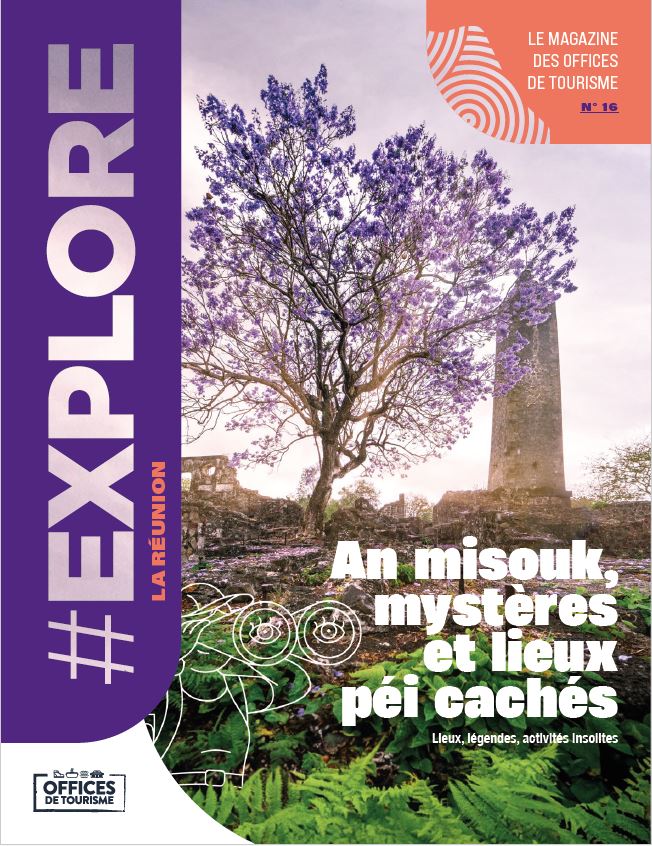 Couverture du 16ème numéro du mag explore. Un Jacaranda en fleur devant les ruines des vestiges de l'usine sucrière - Musée Villèle